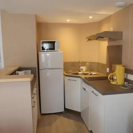 6 Au Puy Mary Ideal Pour Explorer Les Volcans D'auvergne Apartment *